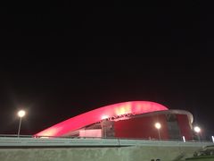 -南京奥林匹克体育中心-体育馆