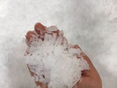 -Mr·Kuma酷么先生雪之乐园