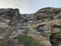 -盐洲岛