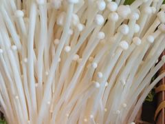 -老员外骨汤火锅(海州古城店)