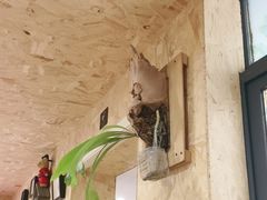 -Rabbit Cafe私房西餐甜点咖啡(栖霞路店)