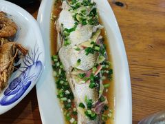 葱油白条鱼-百家鲜·杭帮菜