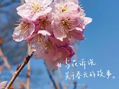 -陕西省西安植物园