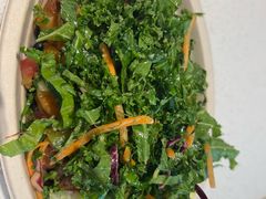 -油梨树 AVOCADO TREE(亮马桥店)