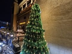 -德国金皇冠啤酒坊(硅谷大街店)