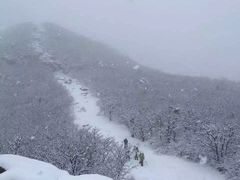 -湖州龙王山景区