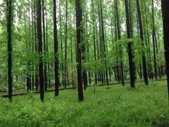 iphone_upload_pic-上海怡沁园度假酒店