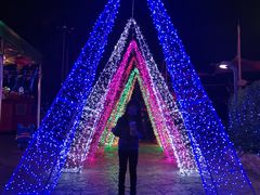 -大信·云顶星河游乐王国