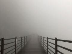 -武陵山森林公园