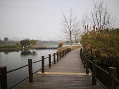 -眉山湿地公园(东坡区)