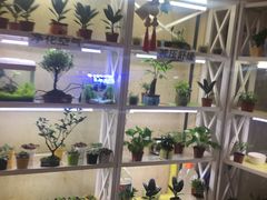 -连城·新天地(福华一路店)