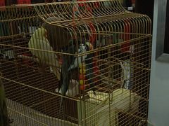 -潇湘·永州会馆(百子湾店)