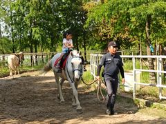 -上海海湾国家森林公园