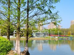 -白塘生态植物园