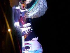 -清迈夜间动物园