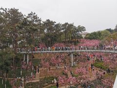 -狐尾山公园