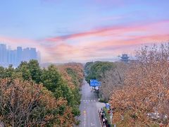 -橘子洲景区