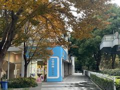 -证大大拇指广场(芳甸路店)