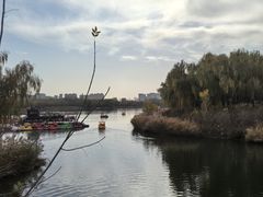 -大兴滨河森林公园