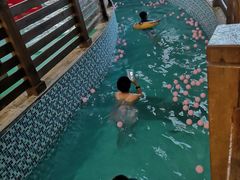 -南宫温泉水世界