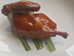 -云门锦翠(商鼎国际店)