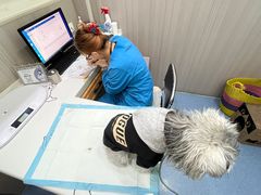 -佑安动物医院·全科·内窥镜中心(幸福巷店)