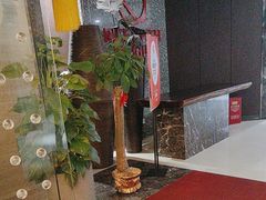 -饭怕鱼·黄焖鲟龙鱼(湖大店)