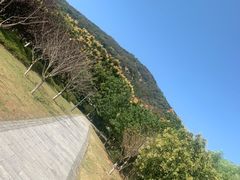 -长广溪湿地公园