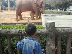 -昆明动物园