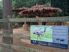 -石家庄市动物园