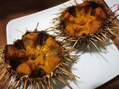 -海胆小馆(东北水饺·春柳店)