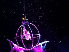 -广州长隆国际大马戏