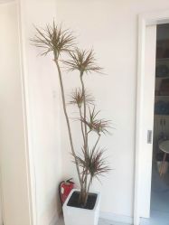 -金都微美·精准护肤·疗愈SPA