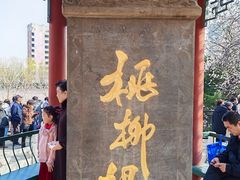 -桃花堤公园