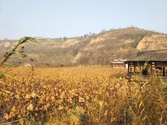 -渭南桃花源民俗文化园