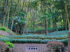 -瑶琳仙境