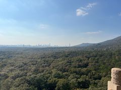 -灵谷景区