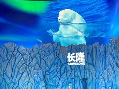 -珠海长隆海洋王国