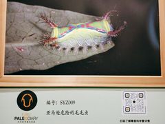 -北京华联购物中心(同成街店)