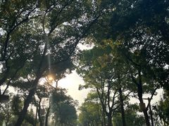 -东钱湖小普陀景区