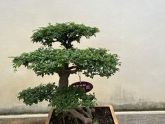 -上海方塔园
