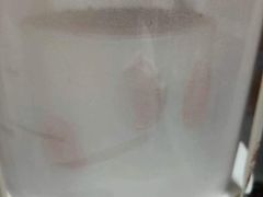 -今日·TODAY手作低脂动物奶油蛋糕定制(高新万达店)