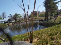 室外温泉-青岛海泉湾度假区温泉