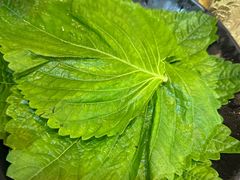 -海花锅盖烧烤店(怡馨家园店)