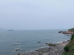 -大锅强·蒸海鲜青岛菜(金沙滩店)