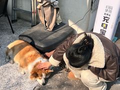 -肥朵食堂(带梦胡同店)