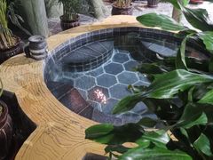 -兴芮温泉度假区