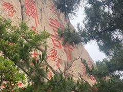 -崂山仰口游览区