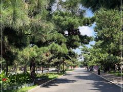 -北陵公园