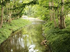 -桤木河湿地公园